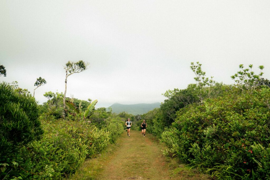 Mauritius island trail running Black river
