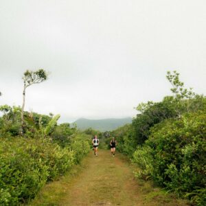 Mauritius island trail running Black river