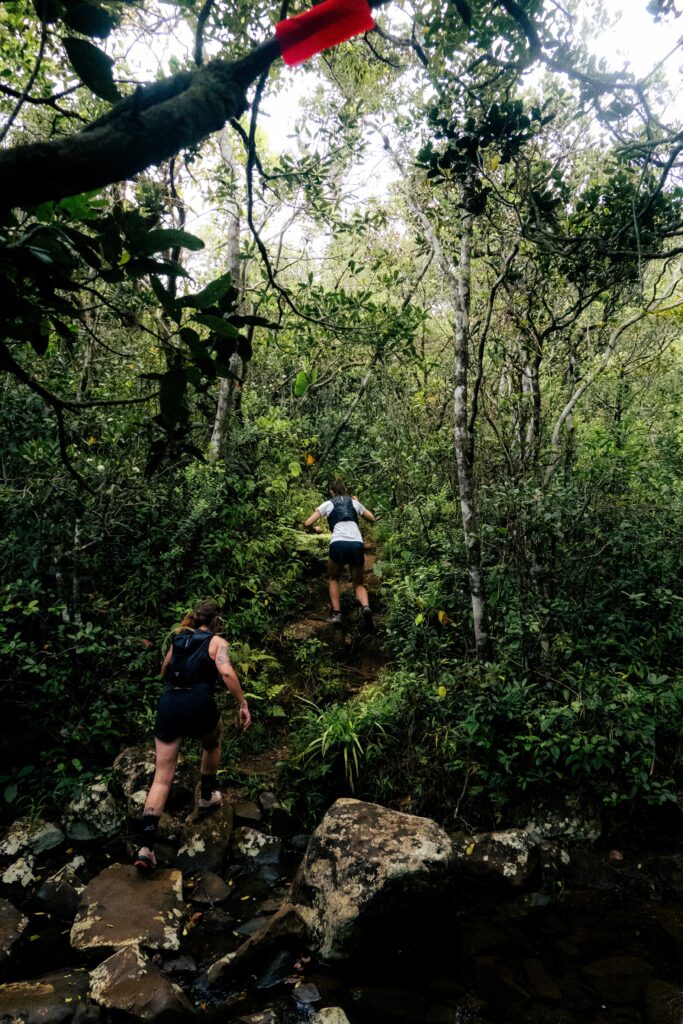 Mauritius island trail running Black river