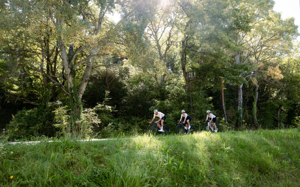 Provence Road Cycling Travel